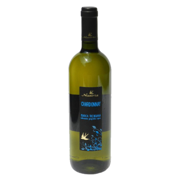 chardonnay treviso vino bianco